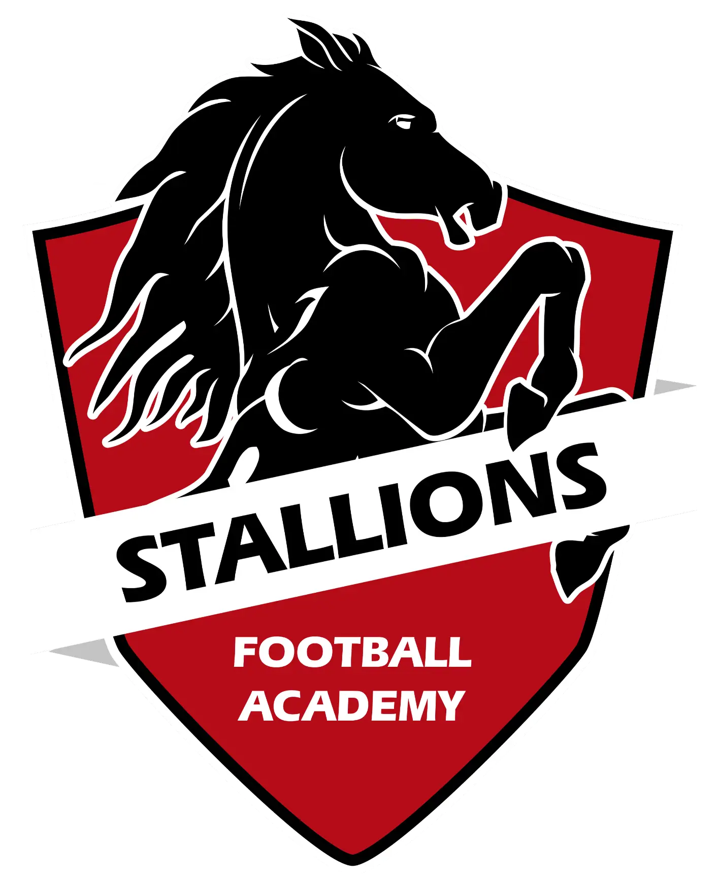 Elite Academy